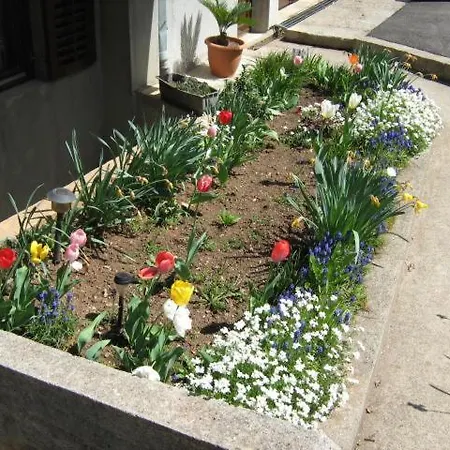 Zlatiborski Gajevi * 兹拉蒂博尔