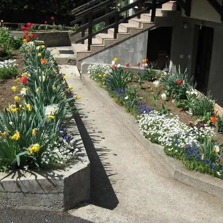 公寓 Zlatiborski Gajevi