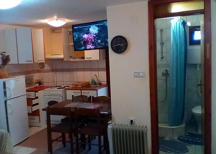 Zlatiborski Gajevi Apartament *
