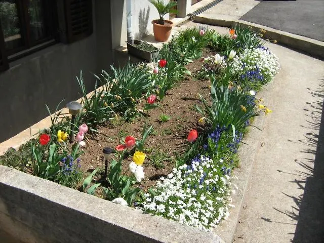 Zlatiborski Gajevi * Zlatibor