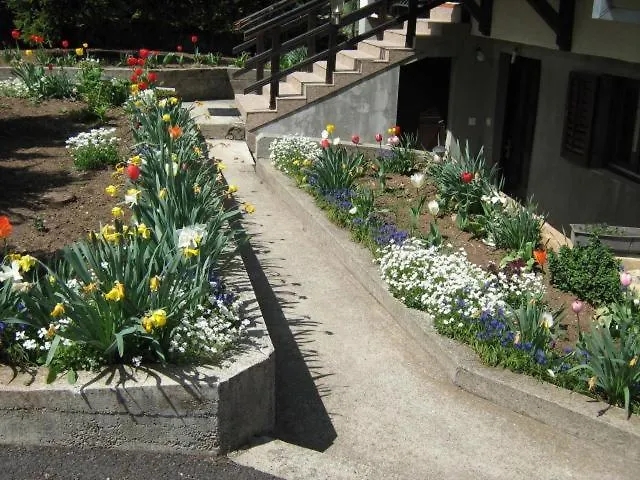 Apartament Zlatiborski Gajevi